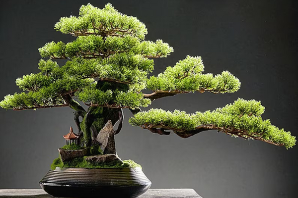 Artificial Bonsai Tree