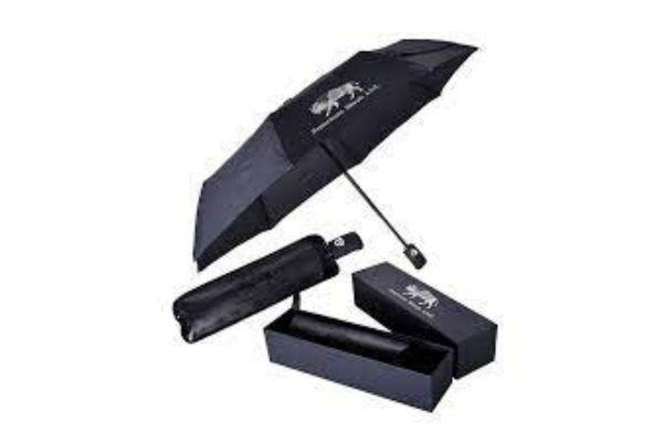 Luxe Gift Umbrella